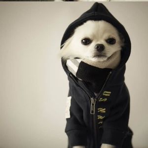 Black is the new Orange